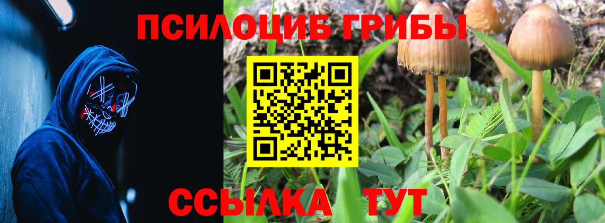 Галлюциногенные грибы Magic Shrooms Таганрог