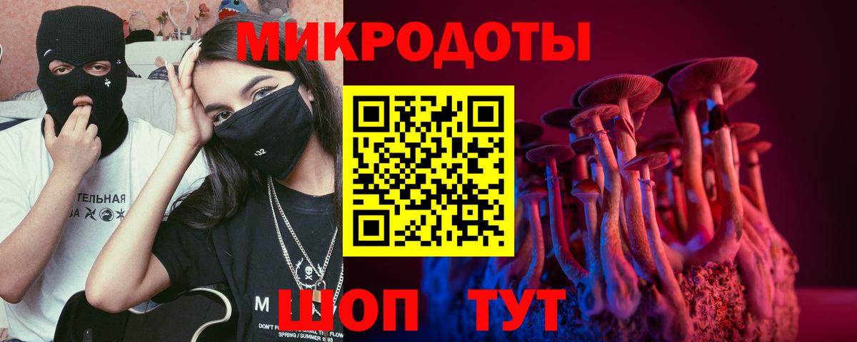Таганрог  Псилоцибиновые грибы Psilocybe  Вход с VPN 